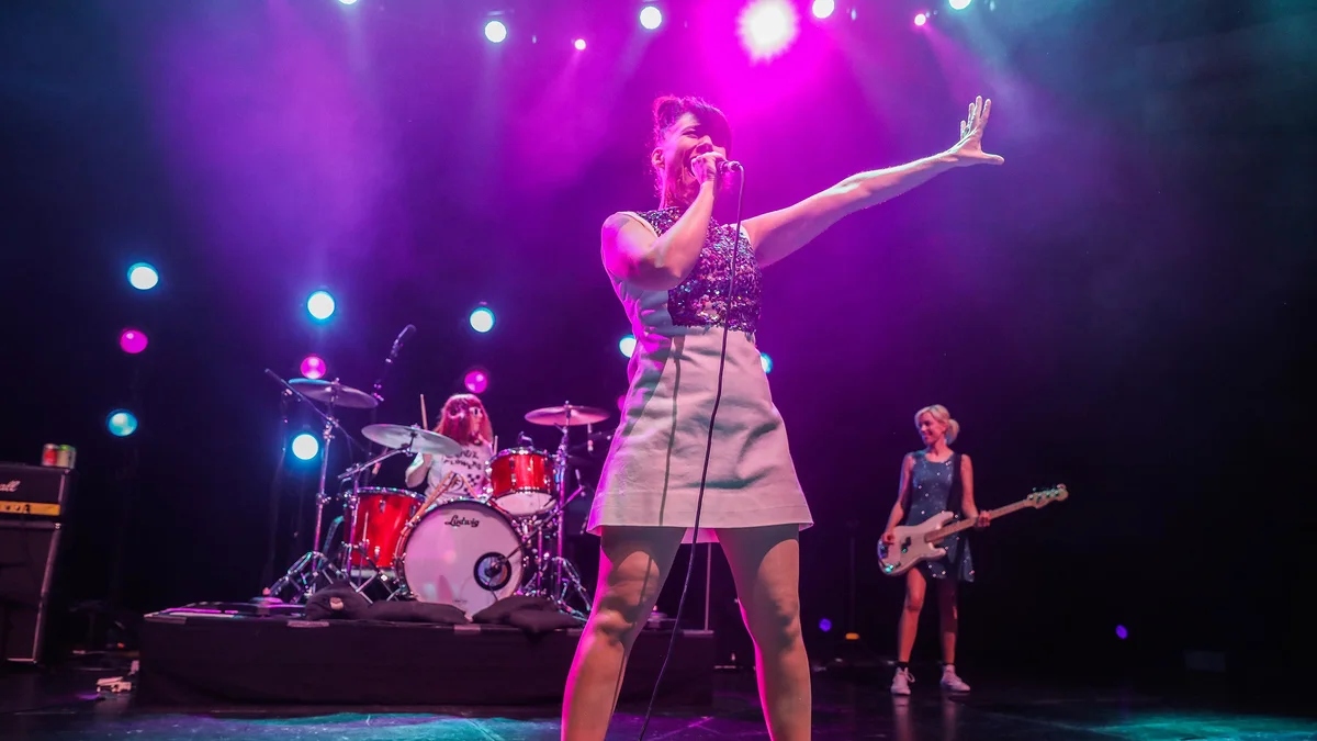 Bikini Kill with Ganser