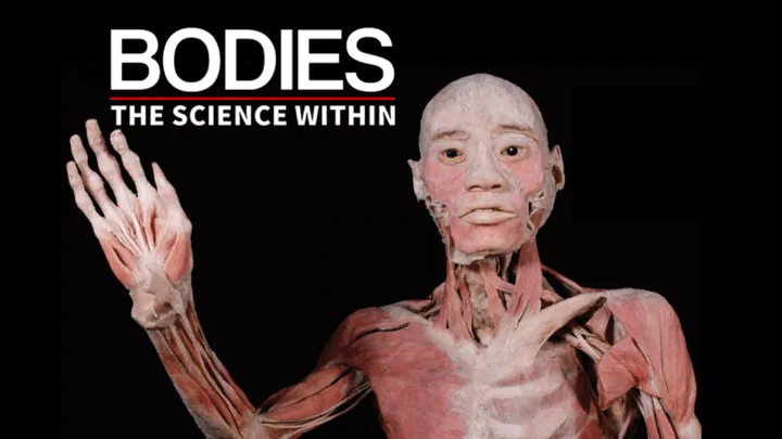 Bodies - The Science Within - Denver